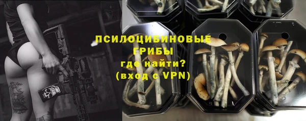 мет Дмитриев