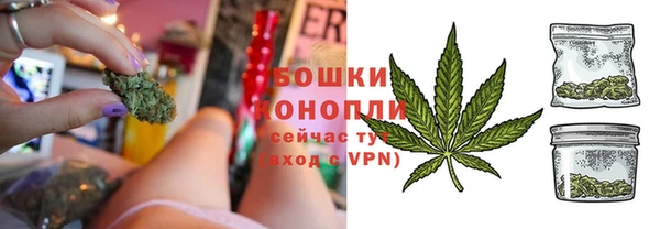 мет Дмитриев