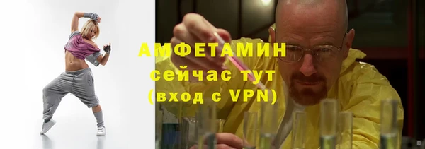 мет Дмитриев