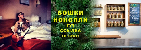 мет Дмитриев