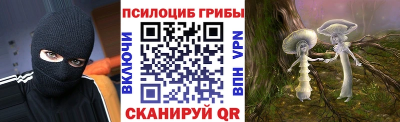 Купить где  Онега  Галлюциногенные грибы мухоморы 